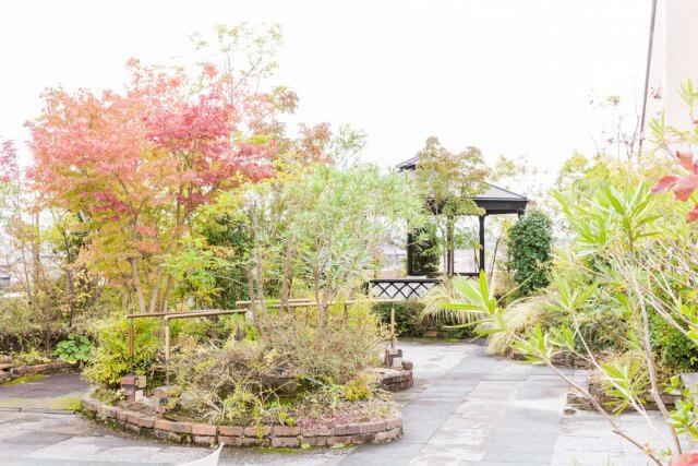 リハビリテーション部